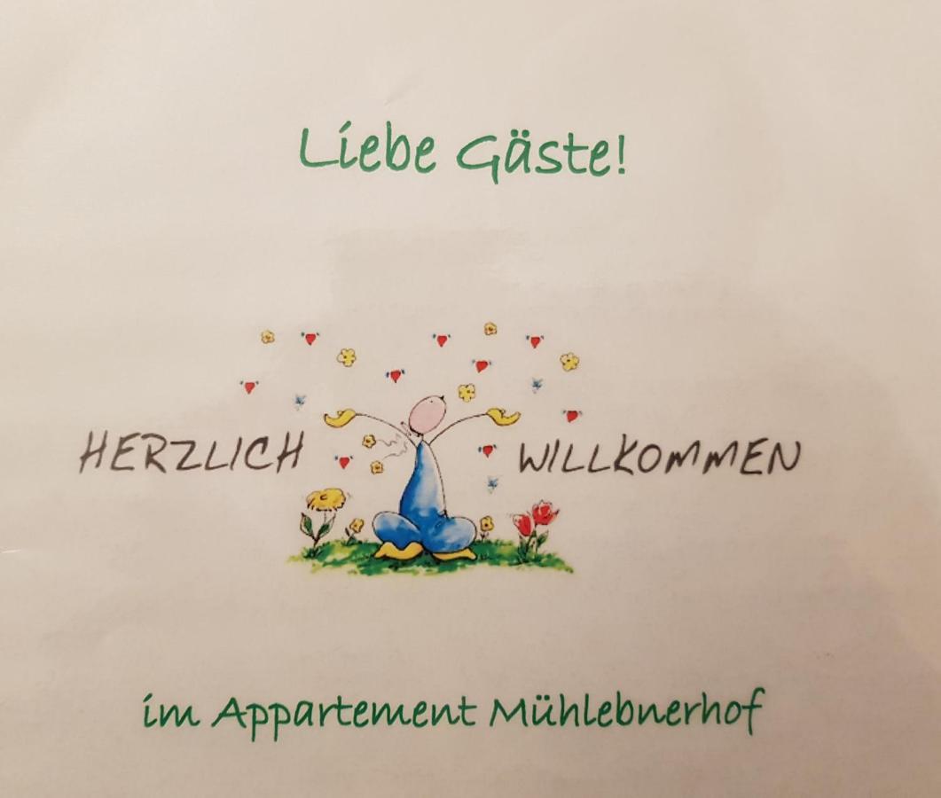 Appartement Muehlebnerhof 람자우 암 다흐스타인 외부 사진
