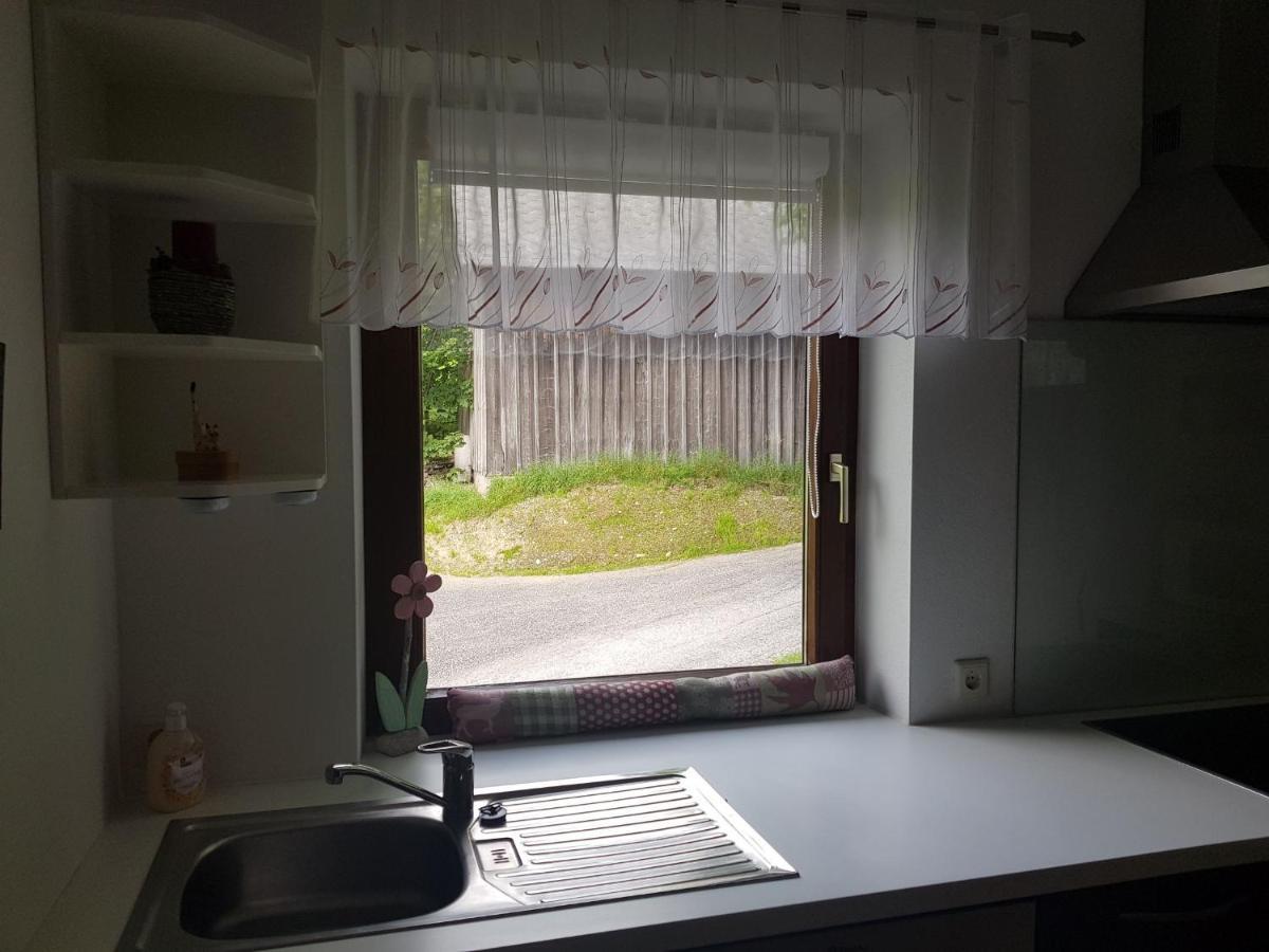 Appartement Muehlebnerhof 람자우 암 다흐스타인 외부 사진