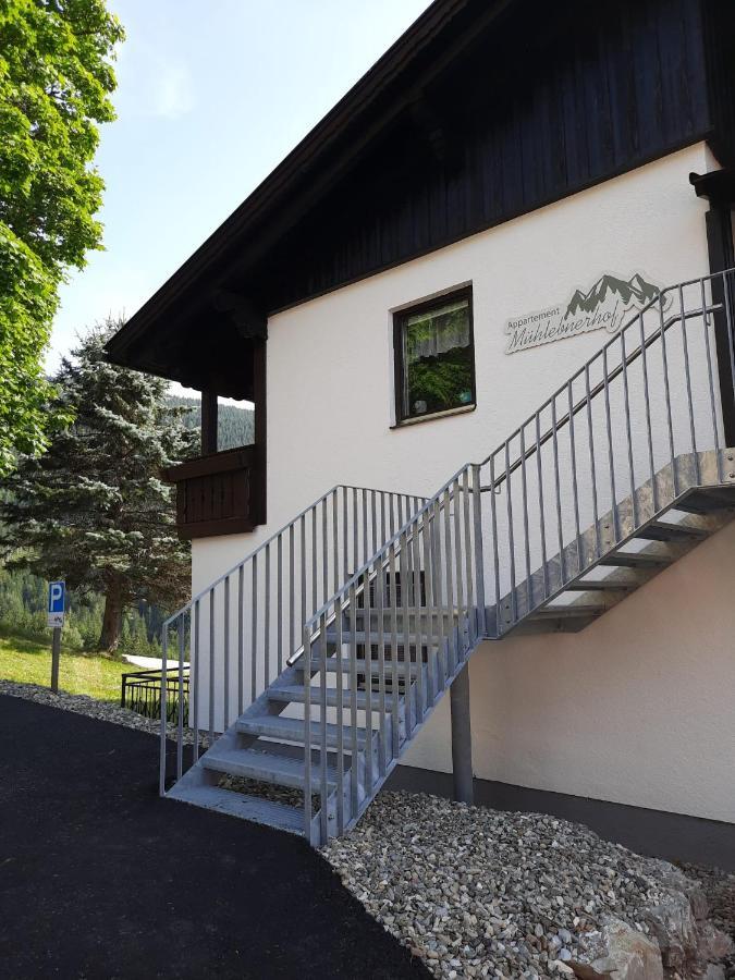 Appartement Muehlebnerhof 람자우 암 다흐스타인 외부 사진